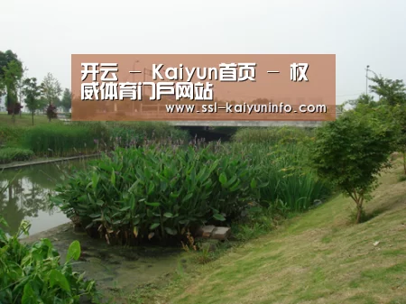 案例展示四(图1)