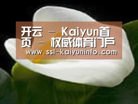 产品名称七