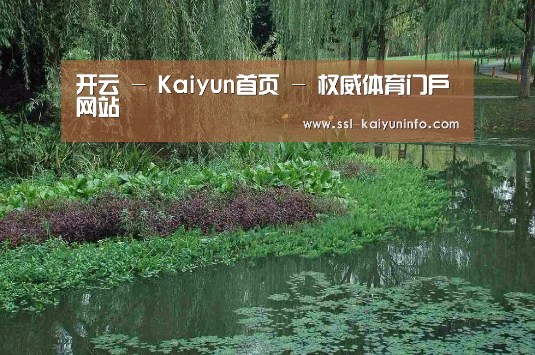 案例展示一