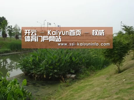 案例展示四