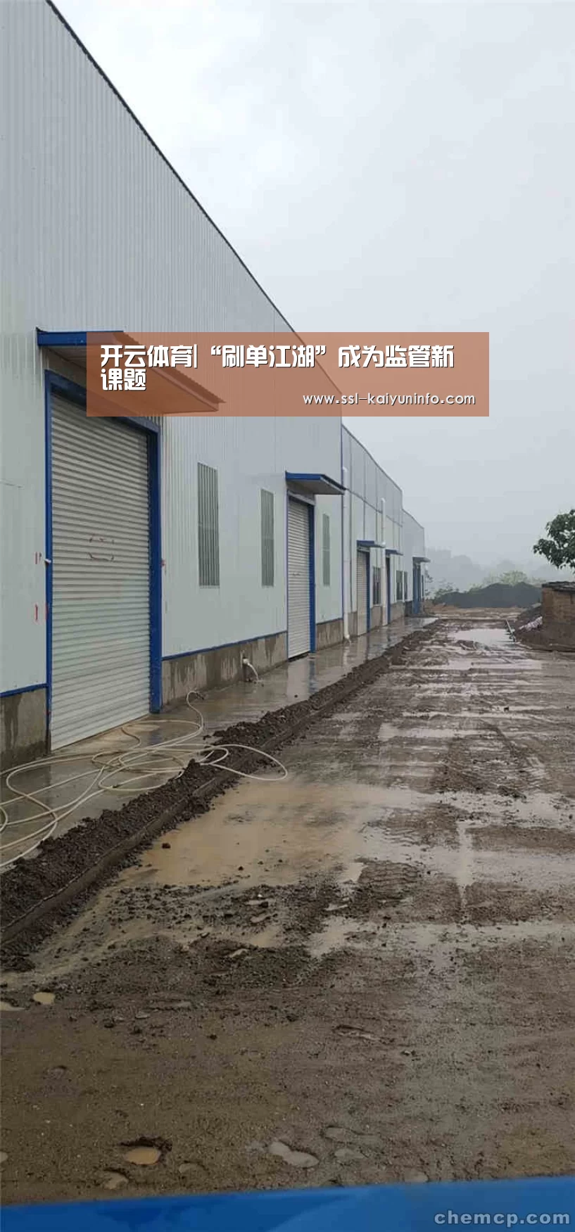 开云体育官网